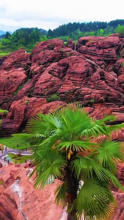 Red Stone Forest, Guizhou, China / Forêt de pierre rouge, Guizhou, Chine