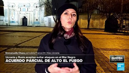 Informe desde Kiev: Rusia y Ucrania acuerdan garantizar la seguridad en el mar Negro