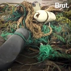 Bangladesh: sea turtles trapped in massive wave of plastic waste