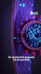 Simple questions about COVID-19 variants