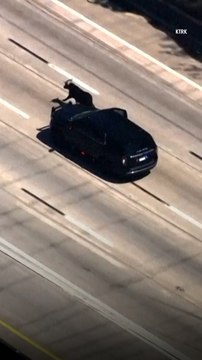 Only in Texas! Cows and Bulls Escape Trailer, Cause Traffic Chaos on Houston Freeway