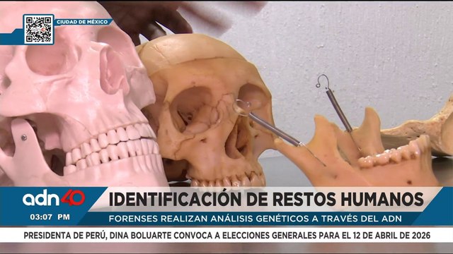 Así es el proceso de identificación de restos humanos en fosas