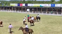 Actividades en el Ruedo Don Homero Formoso - P 1 de 2 - Patria Gaucha 2025 - Tacuarembó, tarde del 21/03