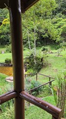 Aluguel do Sítio para Temporada Nova Friburgo Rio de Janeiro  Birdwatching Observação de Aves