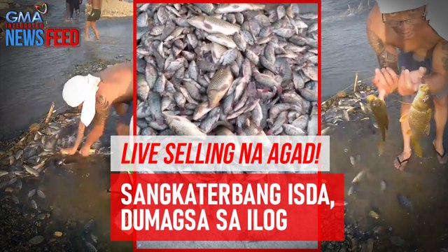 Live selling na agad! Sangkaterbang isda, dumagsa sa ilog | GMA Integrated Newsfeed