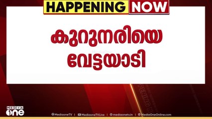 കുറുനരിയെ വേട്ടയാടിക്കൊന്ന കേസിൽ അറസ്റ്റ്, തിരുവാലി സ്വദേശി ബിനോയ് കസ്റ്റഡിയിൽ