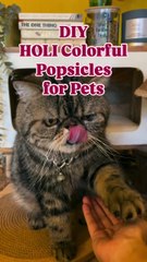Refreshing Goat Milk Powder Popsicles for Cats: A Tasty Treat!