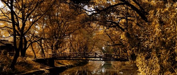 Nữ quỷ hai mặt - Bán yêu thức tỉnh, thầy săn yêu cứu rỗi! - PHIM LẺ THUYẾT MINH 2025