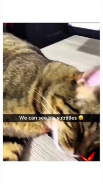 #love #viral #shorts #video #trending #dailymotion #youtube #film #rap #stayhome #free #facebook #netflix #twitter #twitch