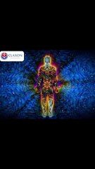 Unlock the Secrets of Your Immune System and Stay Healthy 🛡️