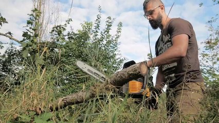 Cutting trees for making furnitures