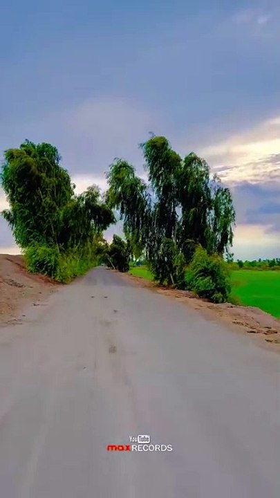 Amazing Weather  Village #maxrecords #larkana #sindh #pakistan #villagelife #nature #village #sindhi