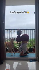 Dog Interrupts Woman's Headstand, Making Her Lose Balance and Fall