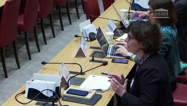 Freins à la réindustrialisation de la France : Mme Agnès Bénassy-Quéré, seconde sous gouverneure à la Banque de France, professeure d’économie - Mercredi 26 mars 2025