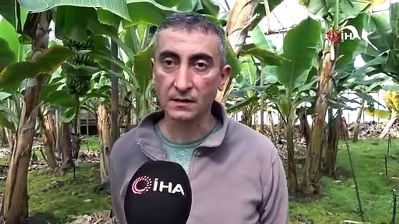 Asrın felaketi bölgesinin en lezzetli meyvesi için zam yağmuru uyarısı