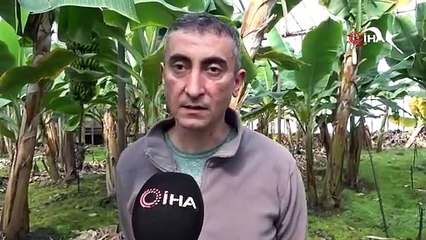 Asrın felaketi bölgesinin en lezzetli meyvesi için zam yağmuru uyarısı