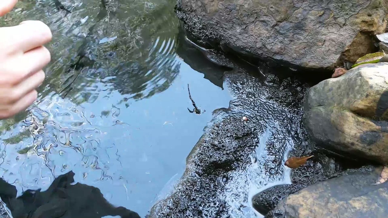 Coal sludge 10Sep22
