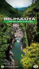 Mysterious Creatures of the Deep Jungle
