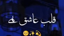 Qalbe aashiq hoa para