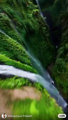 The Healing Power of Forests: Why Nature is Good for You