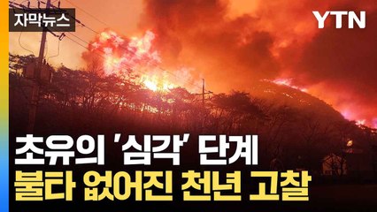 [자막뉴스] 불길에 쓰러진 '천년 역사'...산불 피해 '심각' / YTN