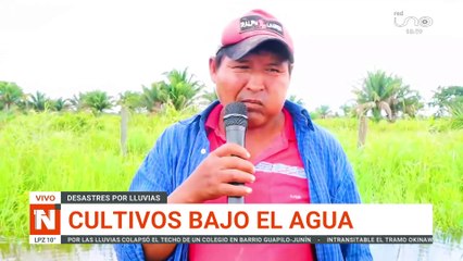 71 mil hectáreas de cultivos bajo el agua