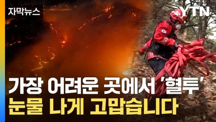 [자막뉴스] 특수 장비 가지고 산 오르며 동분서주...불지옥에서 사투 벌이는 전사들 / YTN