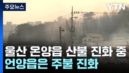 울산 온양읍 산불 진화 중...언양읍은 주불 진화 / YTN