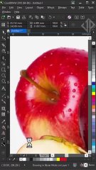 Tips for creating cut and crease lines for JPG and PNG images in CorelDraw