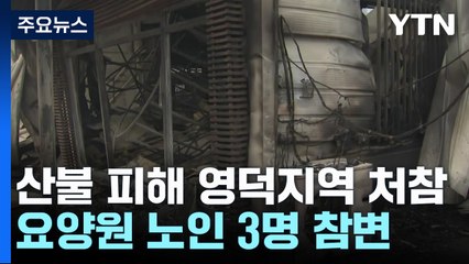 산불 피해 영덕지역 처참...요양원 노인 3명 참변 / YTN