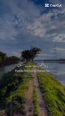 پردہ آنکھوں سے ہٹانے میں بہت دیر لگی