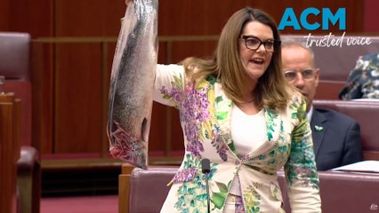 Salmon farming in the Senate: Sarah Hanson-Young hoists rotten fish in parliament