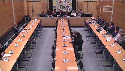 Commission des affaires culturelles : Mme Anne Morvan-Paris, directrice générale de France enfance protégée - Mardi 25 mars 2025