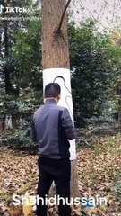 Beautiful Tree Pencil Drawing | Easy Step-by-Step Tutorial