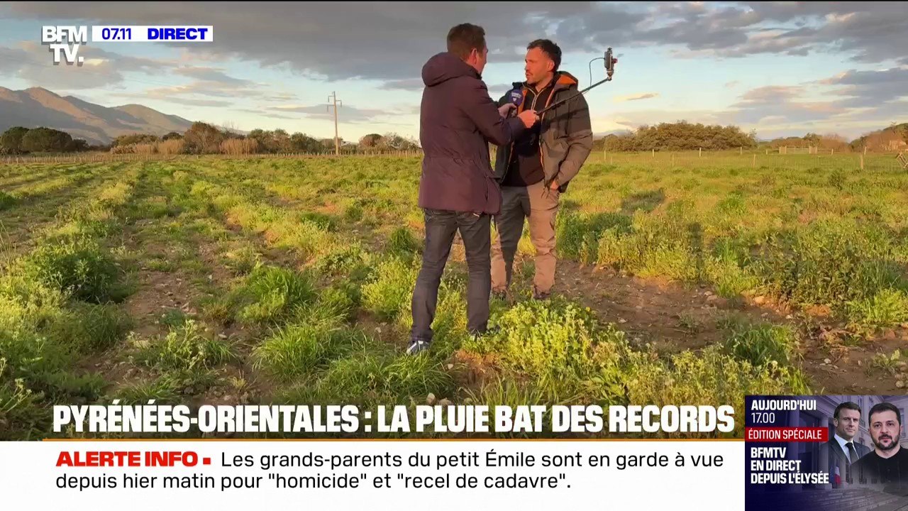 "Ça fait au moins trois ans que ça n'a pas été aussi vert" : dans les Pyrénées-Orientales, la pluie bat des records