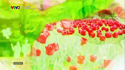 CUỘC SỐNG RỰC RỠ - TẬP 33 - VTV3 THUYẾT MINH - PHIM HÀN QUỐC - CUOC SONG RUC RO