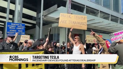 Tesla attacked again in latest incident on Elon Musk's company