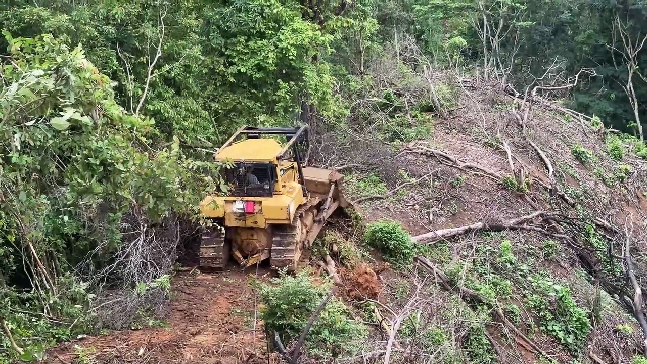 Modern Technique of D6R XL Bulldozer Forms Palm Terraces in Plantations