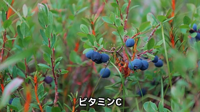 Introducing the nutritional benefits of bananas and easy recipes