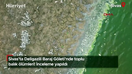 Sivas'ta Deligazili Baraj Göleti'nde toplu balık ölümleri
