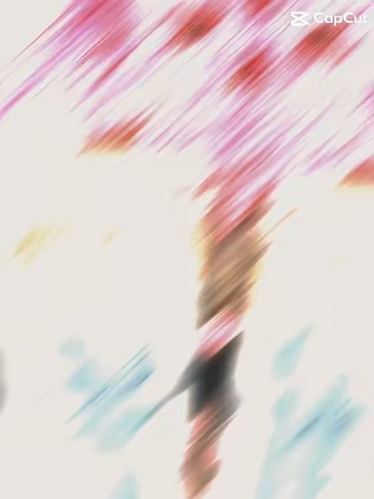 Top Cosplayers du Japan Otaku Chambéry ! Un niveau incroyable !