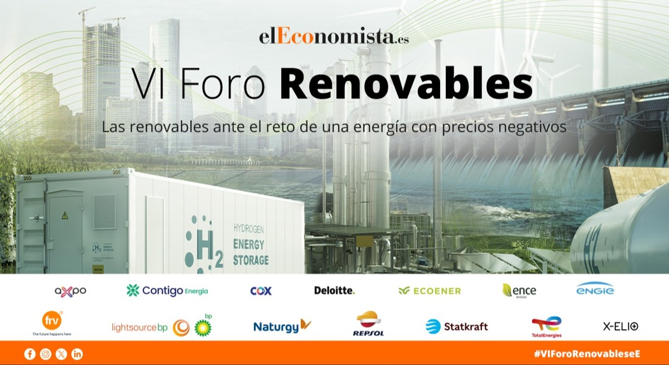VI Foro Renovables