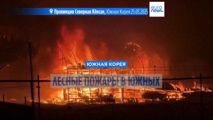 Лесные пожары в Южной Корее охватывают все новые территории