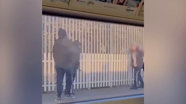 Violent thugs with foot-long machetes fight on Tube platform in front of terrified commuters