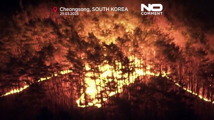 Incendi fatali devastano la parte meridionale della Corea del Sud
