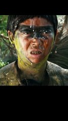 Funny memes action funny clips funny drama