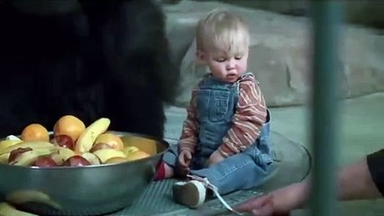 Funny memes funny clips funny drama