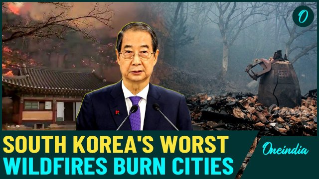South Korea Wildfires Breaking: Death Toll Mounts Rapidly as 18 Killed in Worst Fires In History