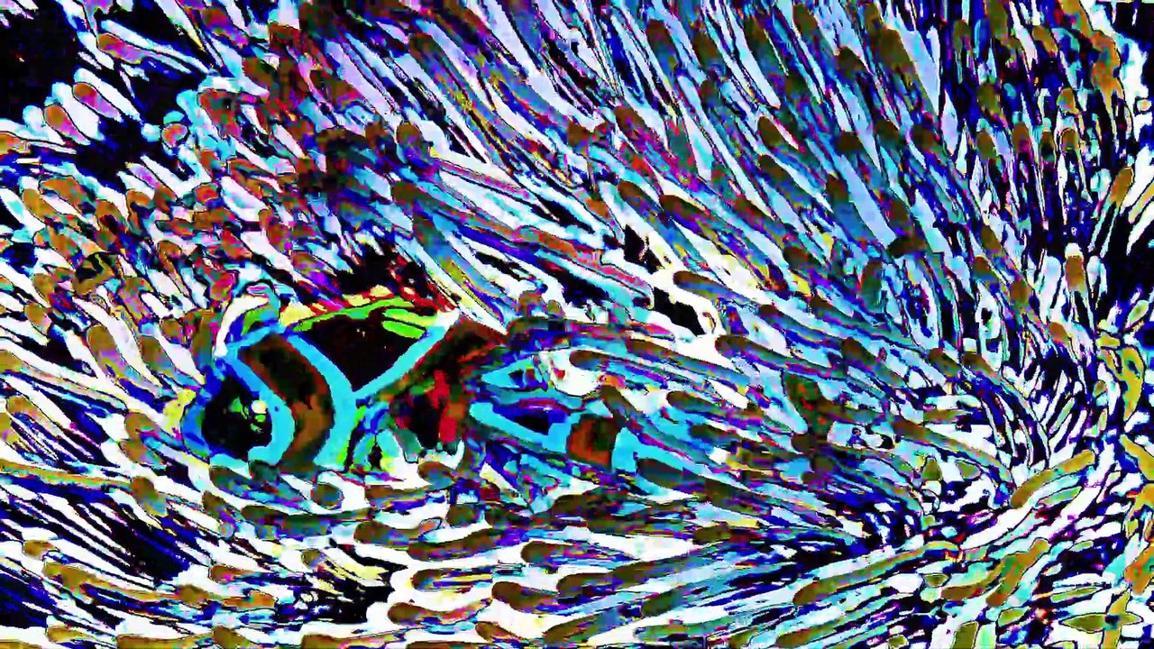 Tranced and Psychedelisized #16 - March 26, 2025