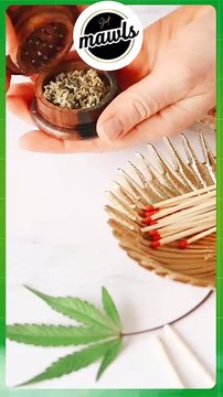 Upgrade Your Dabbing Experience: Premium Dab Rigs & Accessories at GetMawls!